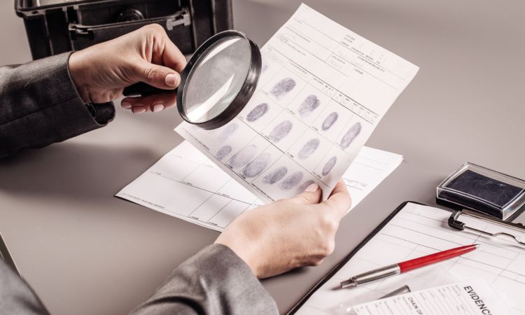 Cuánto gana un criminologo ️《 Salarios 2024